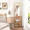 Costway Corner Coat Rack with Shelves Freestanding Hall Tree with Top Hanger Black/Golden/White